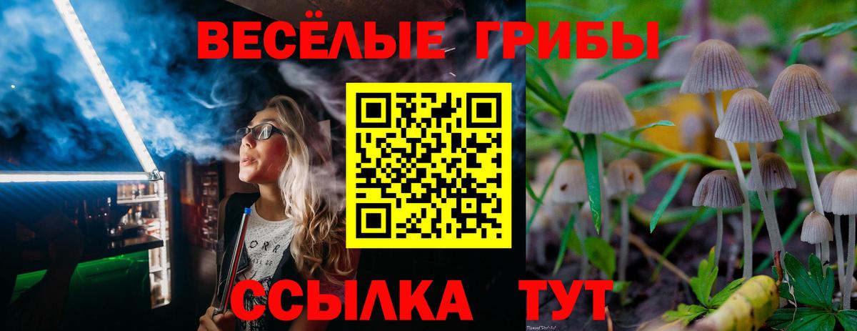 Галлюциногенные грибы MAGIC MUSHROOMS Мытищи